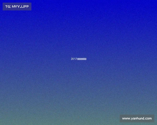 2017中山电竞文化节